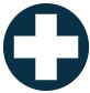 Overall Health Icon - shows a score for all 26 indicators combined for a percentage score.